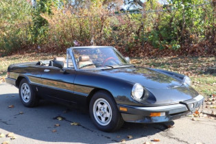 1984 Alfa-Romeo Spider-Veloce For Sale | Ad Id 2146376769